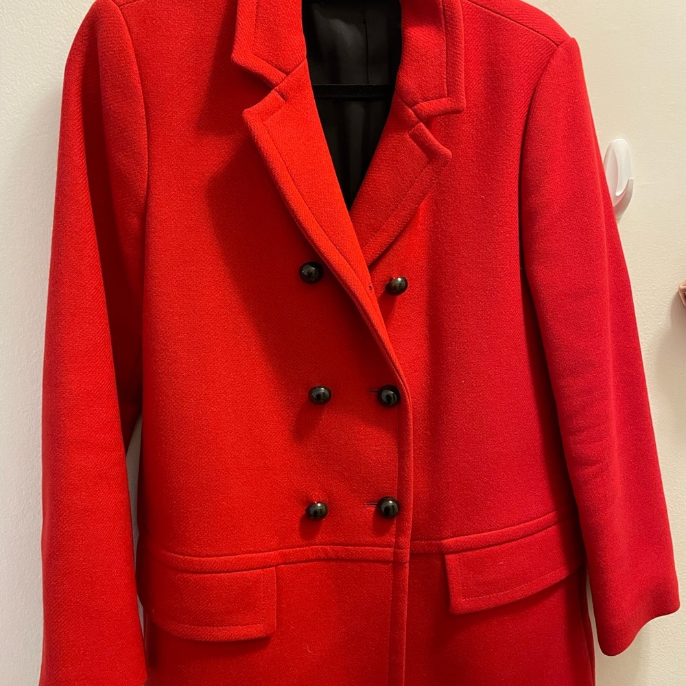 Zara Fall/Winter Double-Breasted Coat